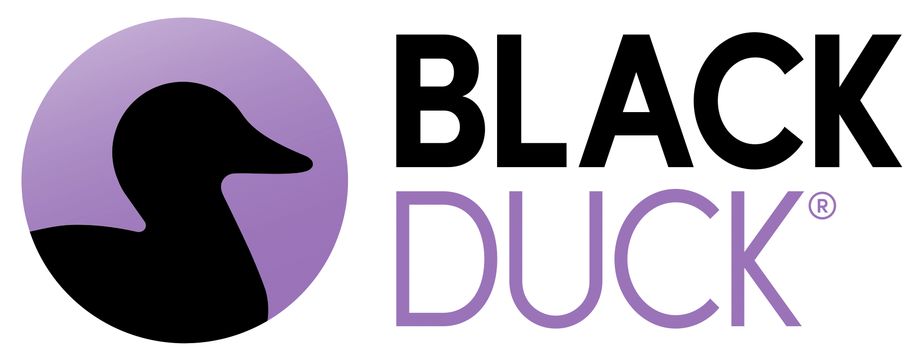 BlackDuck_FS-ISAC 2025 FinCyber Today Canada_Booth_Logo