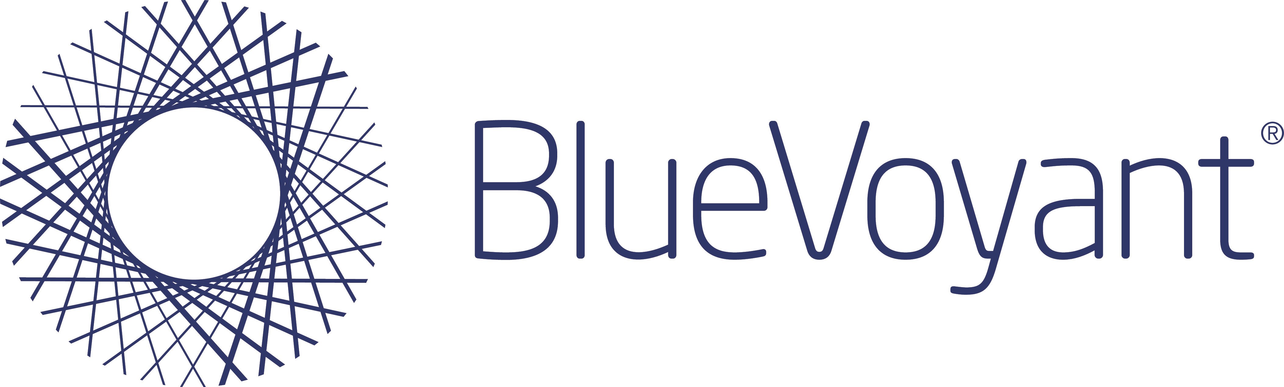 BlueVoyant