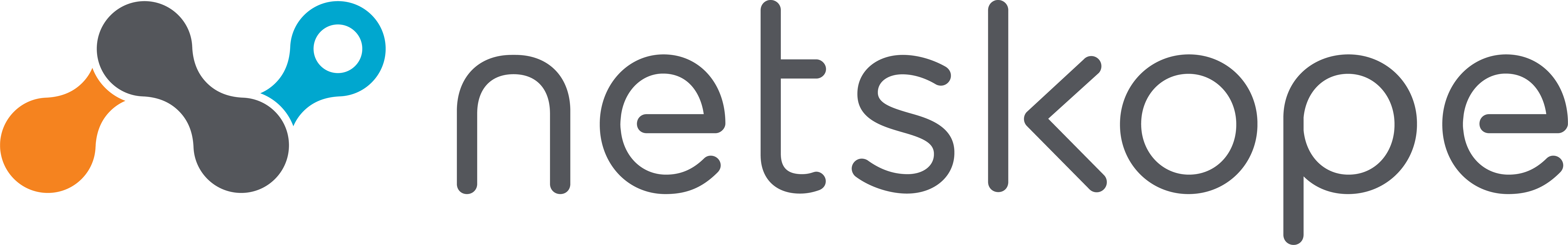 NetSkope_Logo